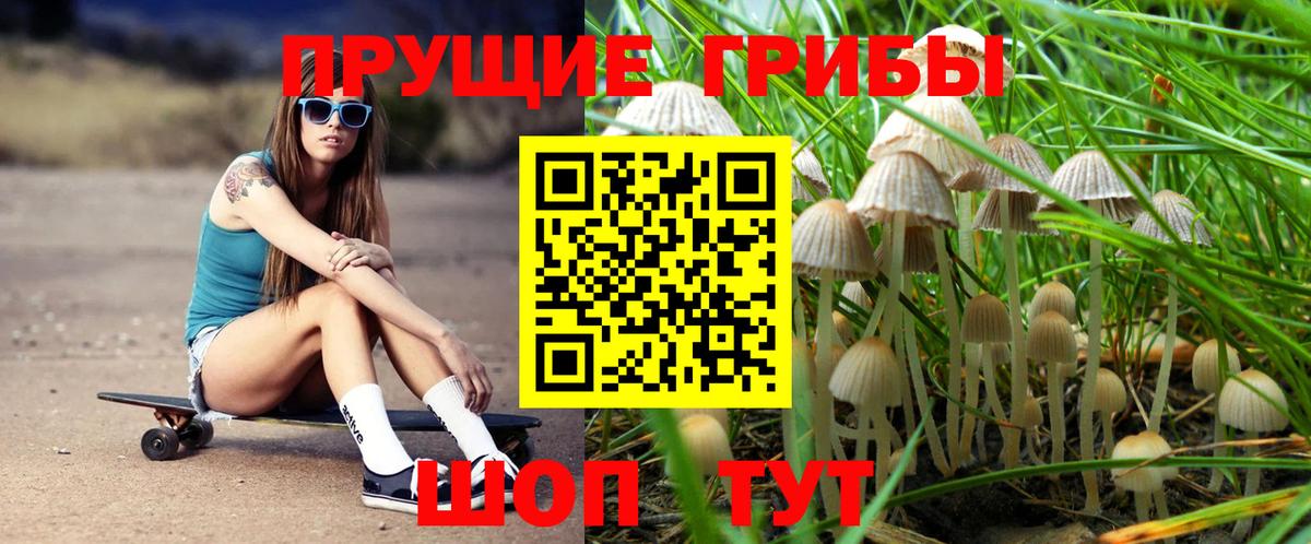 Псилоцибиновые грибы Psilocybe  Вход с VPN  Псилоцибиновые грибы Psilocybine cubensis  Шали 